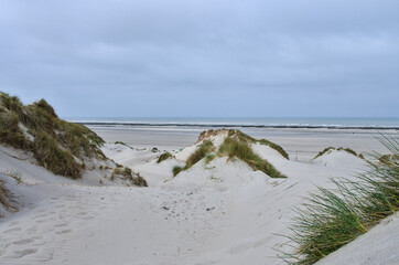 Dune en Normandie