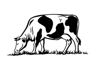 Breeding cattle. silhouette of a grazing cow. vector illustration isolated on white background