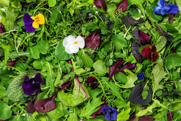 Salad leaves edible flowers Healthy nutrition Food background