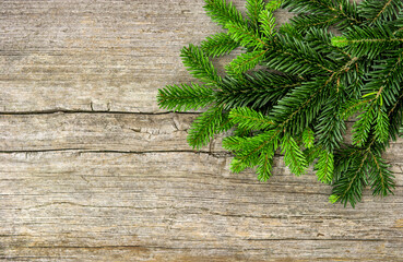 Pine tree branches rustic wooden background
