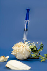 The concept of death from disease or drug addiction. Syringe and dried flowers