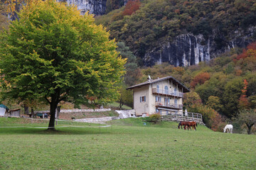 SCORCIO CON CASA E ALBERI