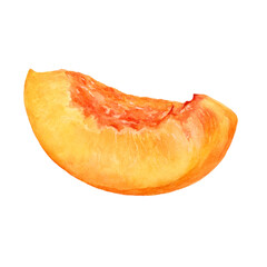 Peach fruit slice watercolor illustration isolated on white background