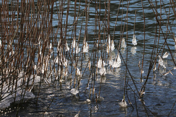 quand le froid arrive 