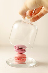 delicious delicate multi-colored macaroons on a platter. female hand closes a transparent glass lid on a light background. with place for text. selective focus