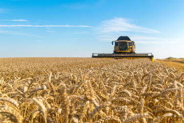 Mähdrescher bei der Ernte © benjaminnolte