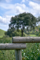 wooden fence in the field with some defocused trees in the background