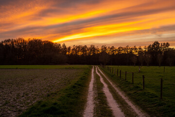Dirt road leading up the Veluwe Forest and National Park in the Netherlands near Loenen at sunset.