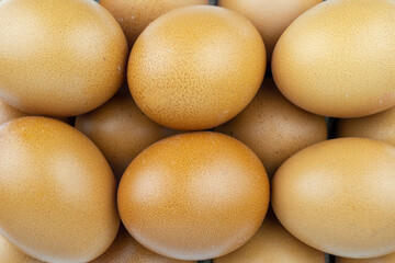 various dark eggs on white background