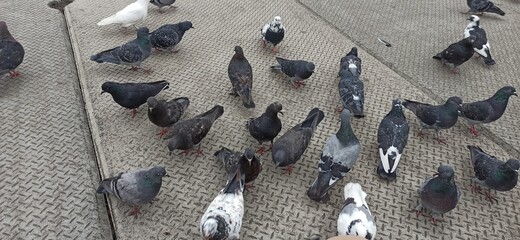 stone wall background