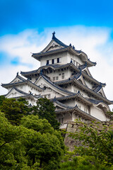 Fototapeta premium Himeji-jo (Himeji castle) in Kansai area, Japan