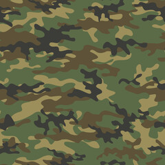 
Camouflage vector texture classic background modern trendy print.
