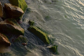 Rocks in the sea, Red Sea