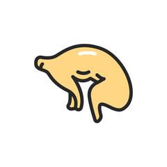 Rabbit meat color line icon. Pictogram for web page, mobile app, promo.