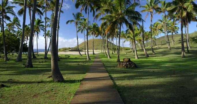 Walking down trail on Easter Island, wide