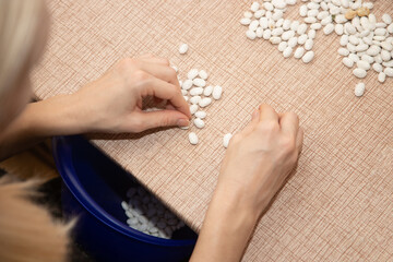 A woman selects and cleans the beans on the kitchen table. Food preparation.