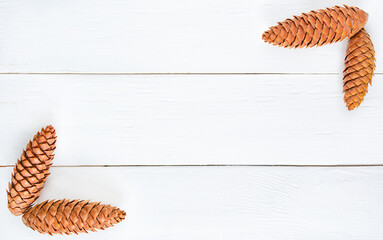 spruce cones on a white wooden background