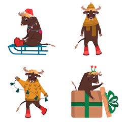 Bull in different actions. Holiday character in cartoon style.