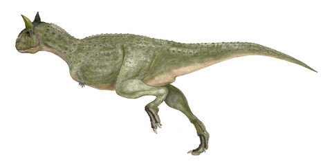 カルノタウルス。肉食の牛。白亜紀後期南米大陸に生息した大型の肉食恐竜。大型だが比較的軽量であり、後肢は発達しており、小回りは効かないが同時期に生息した北米大陸のティラノサウルスに比べより早く走って獲物を捕獲できた。前肢はティラノサウルスよりもさらに退化して小さい。腰部から尾にかけての筋肉は生物史上最大。尾の力は強靭であったと推定される。アベリサウルス類。目の上に大きな角がある。