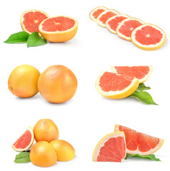 Collection of grapefruit on a white background clipping path