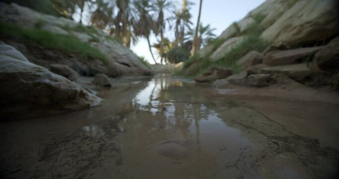 Animal hides underneath sand in shallow stream, low angle
