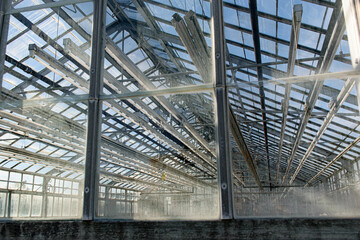 large empty commercial greenhouse 