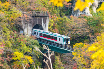 日本　鳴子峡紅葉で鉄橋を徐行運転する列車