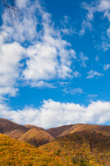 Fototapeta premium 紅葉を始めた山