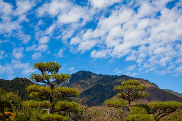 Obraz premium 妻籠の山