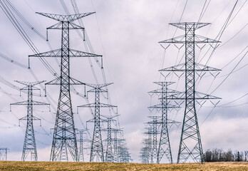 Hydro towers carrying power from the generating plant to consumers fade into the distance.