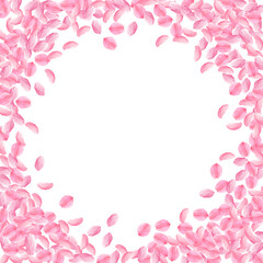 Fototapeta na wymiar Sakura petals falling down. Romantic pink bright m