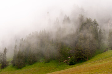 fog and  italian mountain panoramic view