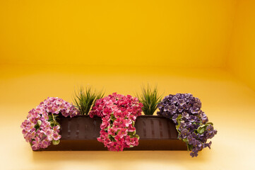 Pink and purple petunia flowers in a cachepot against a yellow wall background