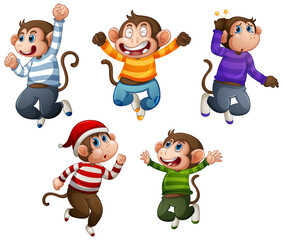 Four monkey wear t-shirt in jumping pose isolated on white background