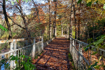 Brücke über den See