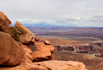 Scenic panorama of view point in Canyonlands National Park, Utah, USA