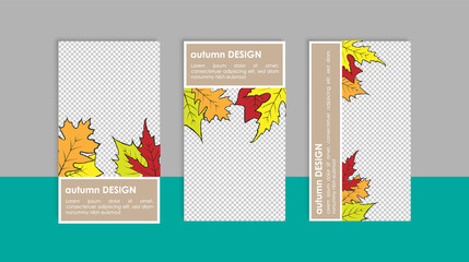 Social media editable post banner with autumn falling leaves theme. Web banners for social media. Clear and simple design, vector illustration.	