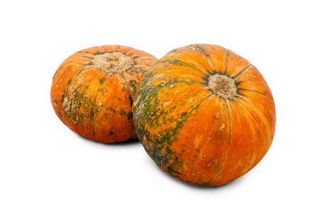 two pumpkins fresh crop isolated on white background