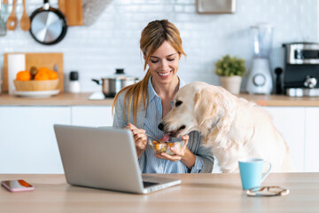 Beautiful lovely dog eating healthy breakfast of her smiling owner while she working with laptop in...