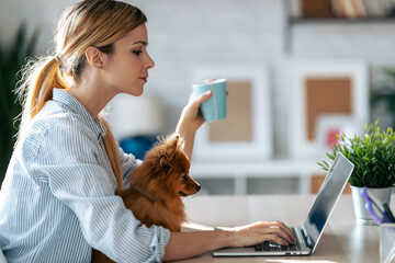 Lovely little dog looking the laptop while her beautiful owner working with him in living room at home.