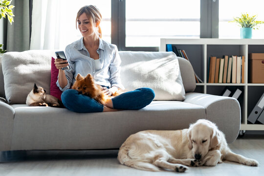 Attractive young woman using mobile phone while sitting in couch with her dogs and cat in living room at home.