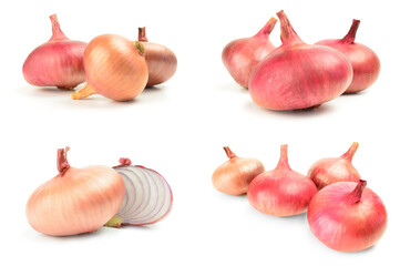 Collage of Fresh bulbs of onion over a white background