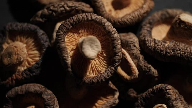 4K Close up of Shiitake mushrooms often used in Japanese and Chinese cooking. Rotating macro shot of the dried mushrooms that shows the beautiful and delicate texture of the Asian ingredient.