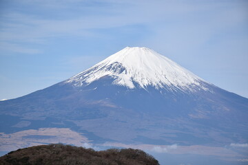 Fototapeta premium 富士山