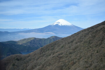 Fototapeta premium 富士山