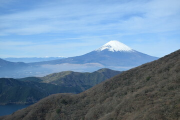 Fototapeta premium 富士山