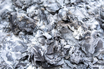 Ashes after the burning of the paper.
