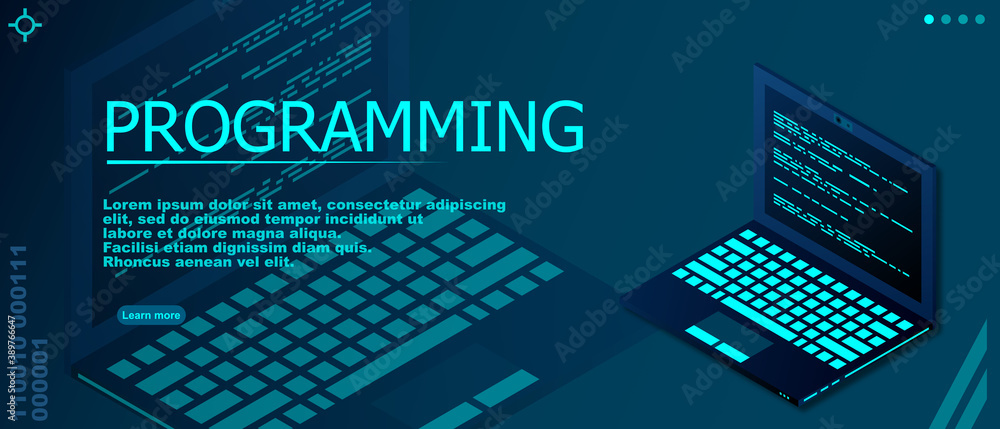 Fototapete Programming or Software development web page template. Vector illustration with laptop isometric view and program code on screen. Programming concept. vector illustration