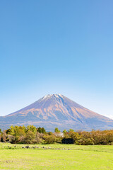 Fototapeta premium 静岡県富士宮市朝霧高原 富士山