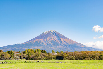 静岡県富士宮市朝霧高原　富士山